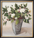 Buy Dogwood at AllPosters.com