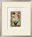Buy Botanics of 17th Century II at AllPosters.com
