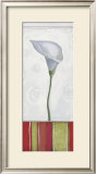 Floral Tapestry I
