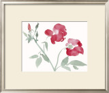 Buy Roses at AllPosters.com
