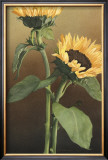 Buy Isabell's Garden II at AllPosters.com