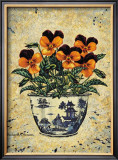 Viola Jackanapes
