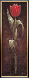 Buy Mystic Tulip Red at AllPosters.com