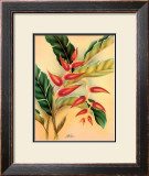 Buy Heliconia at AllPosters.com