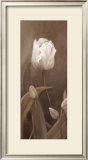Buy Sepia Tulip Panel I at AllPosters.com