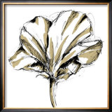 Tulip Sketch IV