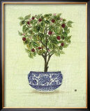 Buy Red Berry Topiary at AllPosters.com