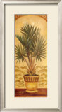 Tuscan Palm II