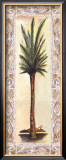 Palm IV