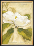 Buy Magnolia at AllPosters.com