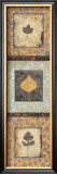 Buy Leaf Study I at AllPosters.com