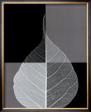 Crystalline Form I