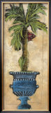 Potted Palm III Framed Art Print