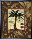 Buy Banana Palm at AllPosters.com