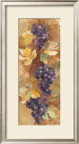 Autumn Grapes II