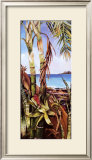 Buy Palms and Bromeliads at AllPosters.com