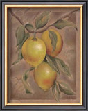Buy Citron Fructus at AllPosters.com