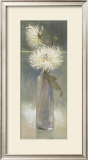 White Spider Mums II