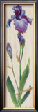 Buy Iris Panel I at AllPosters.com
