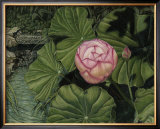 Buy Enchanting Lotus at AllPosters.com