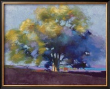 Buy Twilight Oak III at AllPosters.com