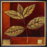 Buy Crimson Leaf Study II at AllPosters.com