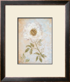 Buy Wedding Rose I at AllPosters.com