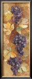Autumn Grapes II