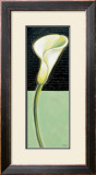 Buy White Lily at AllPosters.com