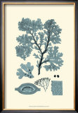 Buy Azure Seaweed I at AllPosters.com