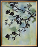 Buy Evening Shadows II at AllPosters.com