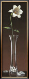 Buy Lily Haiku at AllPosters.com