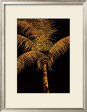 Buy Palm Oro at AllPosters.com