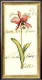 Transitional Orchid II