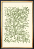 Buy Mossy Branches III at AllPosters.com