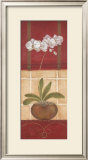 Window Wonders I Framed Art Print