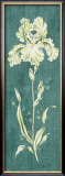 Buy Teal Iris at AllPosters.com