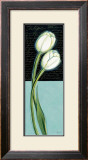 Buy White Tulip at AllPosters.com