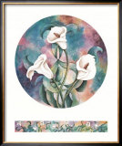 Calla Lilies