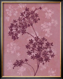 Buy Plum and Rasberry I at AllPosters.com