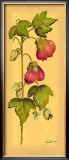 Buy Flores Colgantes I at AllPosters.com