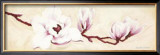 Buy Magnolias I at AllPosters.com