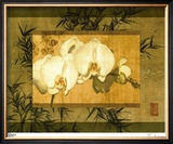 Buy Bamboo & Orchids II at AllPosters.com