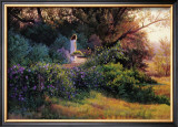 Buy Morning Stroll at AllPosters.com