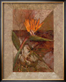 Buy Hawaiian Delight I at AllPosters.com