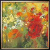 Oriental Poppy Field II