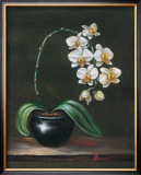 Good as Gold Orchid