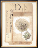 Buy Dahlia at AllPosters.com