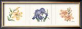 Buy Floral Spray II at AllPosters.com