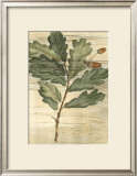 Buy Weathered Maple Leaves II at AllPosters.com